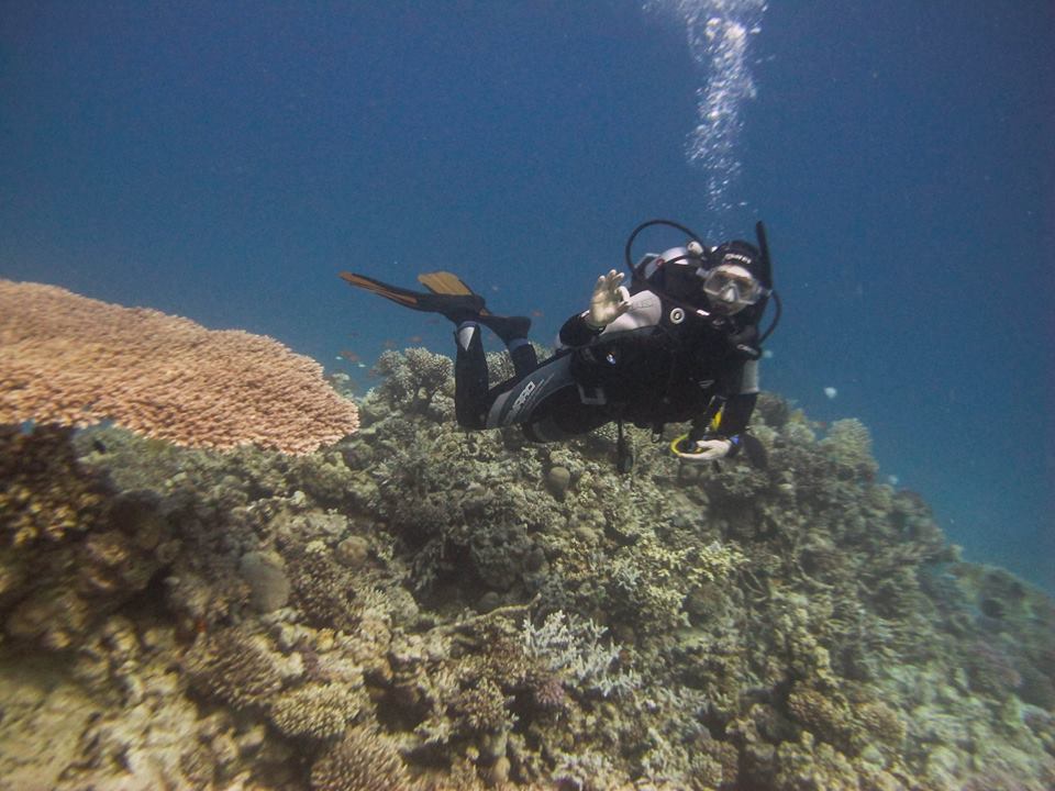 Ярослав Плотников, Ярве, Jaroslav Plotnikov, Yaroslav Plotnikov, Yarve, diving red sea,hurgada